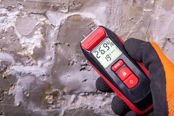 Best Commercial Mold Remediation in Vaville, CA